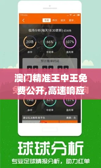 澳门精准王中王免费公开,高速响应执行计划_复刻版10.661-5