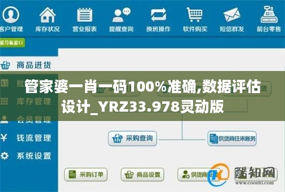 管家婆一肖一码100%准确,数据评估设计_YRZ33.978灵动版