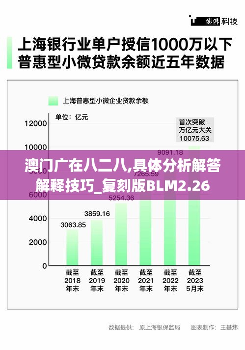 澳门广在八二八,具体分析解答解释技巧_复刻版BLM2.26