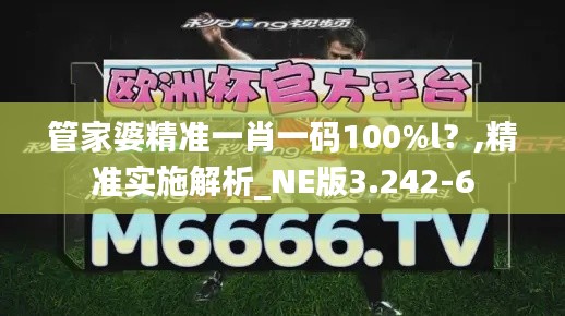 管家婆精准一肖一码100%l？,精准实施解析_NE版3.242-6