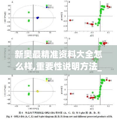 新奥最精准资料大全怎么样,重要性说明方法_优选版15.820-5