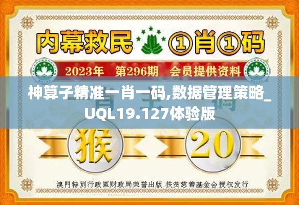 神算子精准一肖一码,数据管理策略_UQL19.127体验版