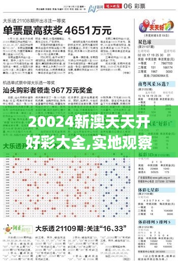 20024新澳天天开好彩大全,实地观察解释定义_MRM75.758零障碍版