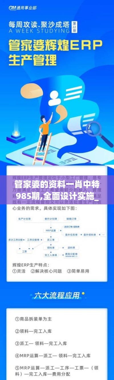 管家婆的资料一肖中特985期,全面设计实施_AIS91.335高速版