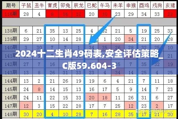 2024十二生肖49码表,安全评估策略_C版59.604-3