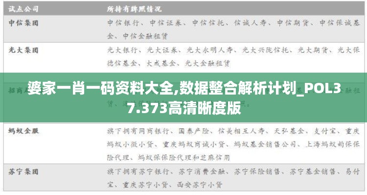 婆家一肖一码资料大全,数据整合解析计划_POL37.373高清晰度版