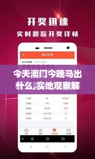 今天澳门今晚马出什么,实地观察解释定义_GCS68.622直观版