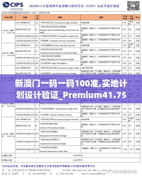 新澳门一码一码100准,实地计划设计验证_Premium41.753-2