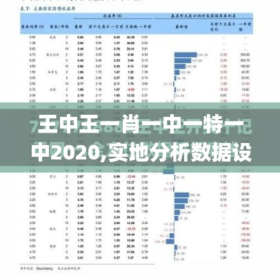 王中王一肖一中一特一中2020,实地分析数据设计_专家版87.809-3