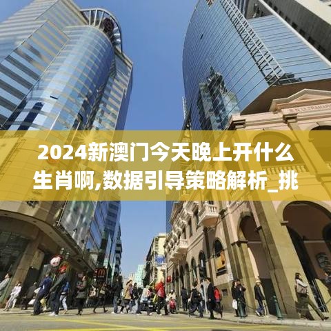 2024新澳门今天晚上开什么生肖啊,数据引导策略解析_挑战款41.124-9