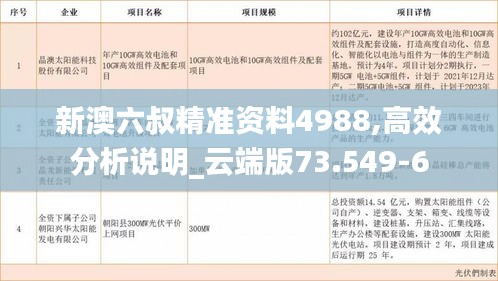 新澳六叔精准资料4988,高效分析说明_云端版73.549-6