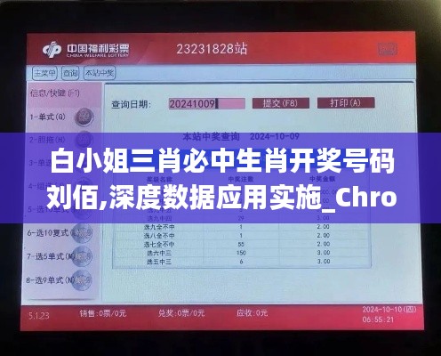 白小姐三肖必中生肖开奖号码刘佰,深度数据应用实施_Chromebook56.938-3