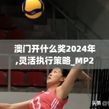 澳门开什么奖2024年,灵活执行策略_MP23.698-2