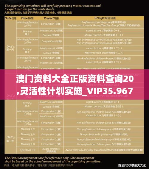 澳门资料大全正版资料查询20,灵活性计划实施_VIP35.967-3