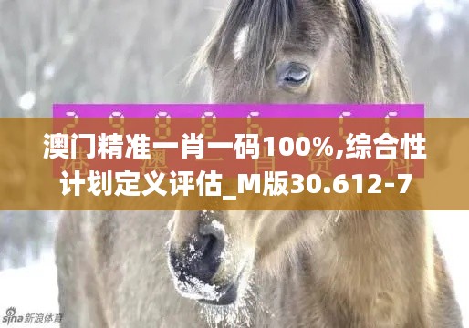 澳门精准一肖一码100%,综合性计划定义评估_M版30.612-7