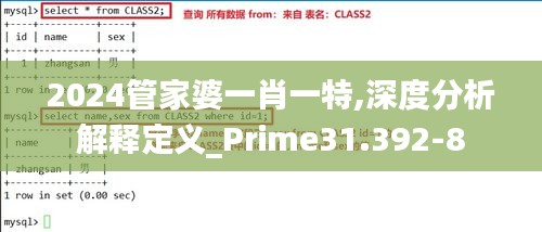 2024管家婆一肖一特,深度分析解释定义_Prime31.392-8