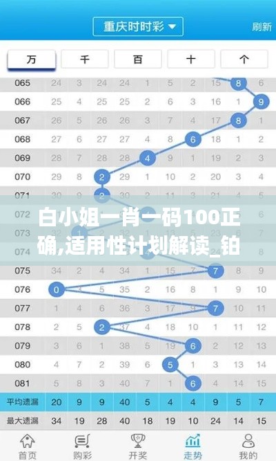 白小姐一肖一码100正确,适用性计划解读_铂金版95.153-3