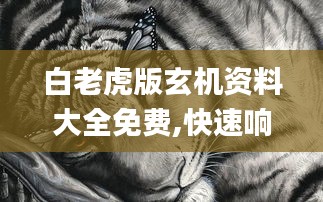 白老虎版玄机资料大全免费,快速响应策略方案_免费版136.300-9