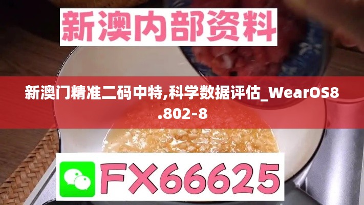 新澳门精准二码中特,科学数据评估_WearOS8.802-8