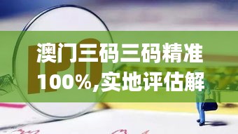 澳门三码三码精准100%,实地评估解析数据_Premium28.173-7