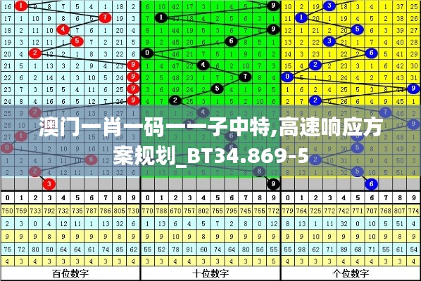 澳门一肖一码一一子中特,高速响应方案规划_BT34.869-5