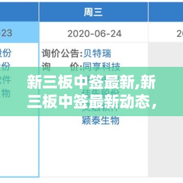 新三板中签最新动态揭秘，投资机遇与挑战并存的前瞻探索