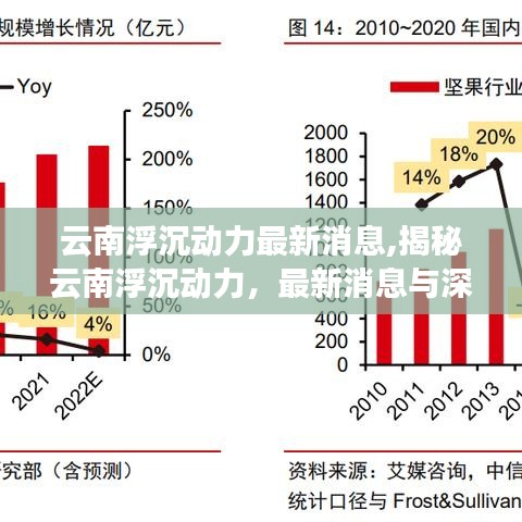 云南浮沉动力深度解析，最新消息揭秘与探讨