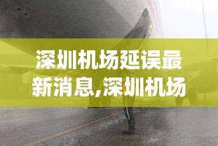 深圳机场航班延误最新消息及其影响分析