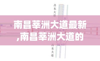 南昌莘洲大道最新发展动态揭秘