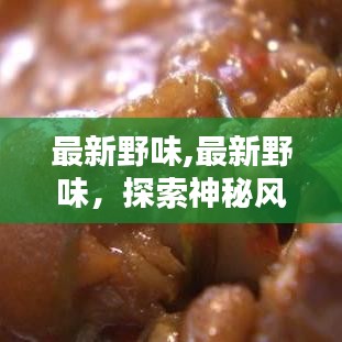 探索神秘风味与生态平衡，最新野味探索之旅