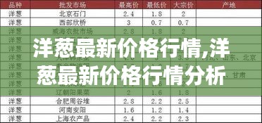 洋葱最新价格行情解析，市场动态、影响因素与未来趋势预测