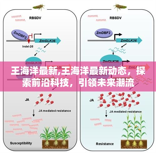 王海洋最新动态揭秘，探索前沿科技，引领未来潮流新趋势