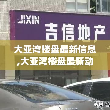 大亚湾楼盘最新动态及区域房地产市场发展趋势探究