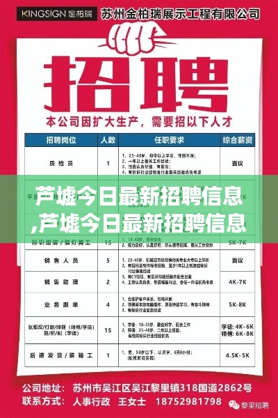 芦墟今日最新招聘信息概览，探索职业发展的新天地