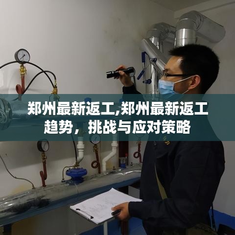 郑州最新返工趋势及挑战应对策略