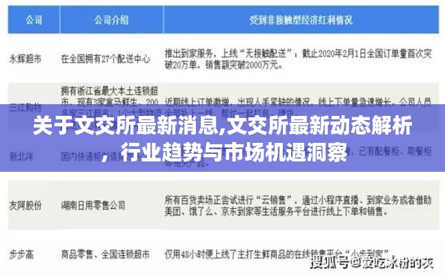 文交所最新动态与行业趋势解析，市场机遇洞察报告