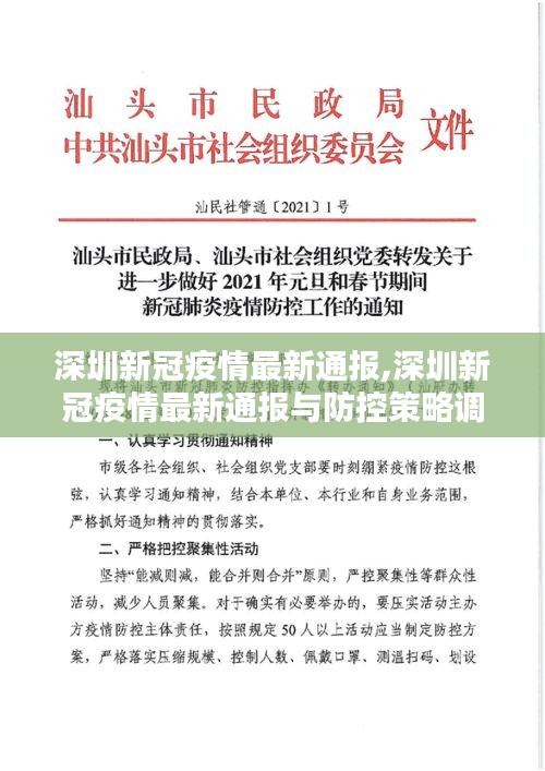 深圳新冠疫情最新通报，防控策略调整及最新进展概述