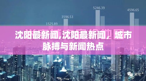 沈阳城市脉搏与新闻热点速递