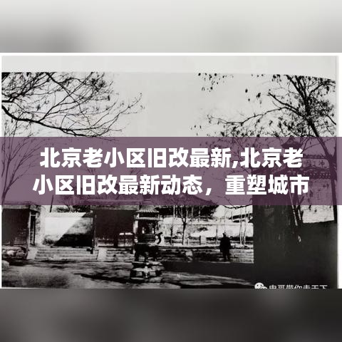 北京老小区旧改最新动态，重塑城市记忆，提升生活品质