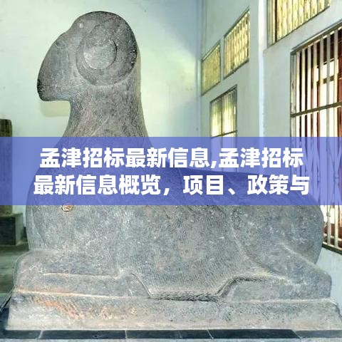 孟津招标最新信息及项目概览与影响分析