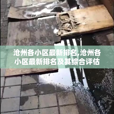 沧州各小区最新排名及综合评估概览