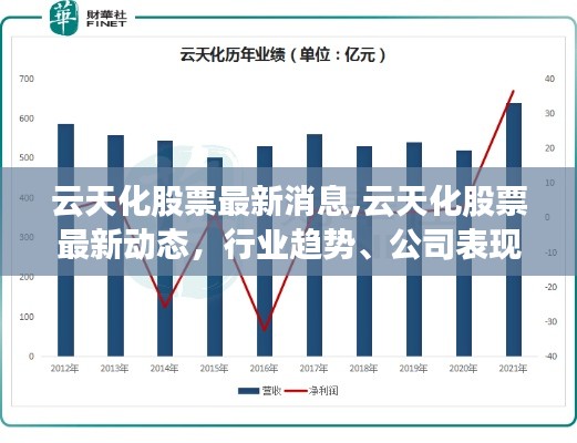 云天化股票最新动态与行业趋势深度解析，公司表现与市场反应综述