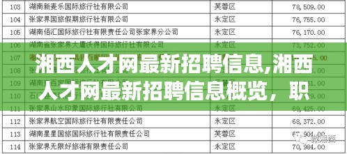 湘西人才网最新招聘信息概览，热门职业发展与机遇探索