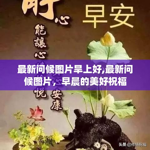 最新问候图片早安分享，早晨的美好祝福与问候