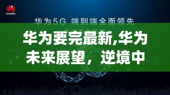 华为逆境中的坚韧与创新之路，未来展望与最新发展动态