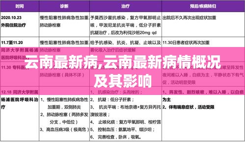 云南最新疫情概况及其影响分析