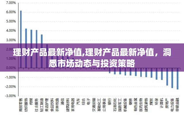 洞悉市场动态与投资策略，理财产品最新净值详解