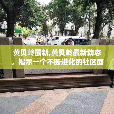 黄贝岭最新动态，揭示不断进化的社区面貌