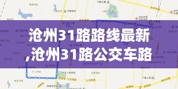 沧州31路公交车路线最新动态解析及路线更新