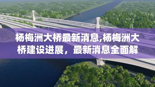 杨梅洲大桥建设最新进展全面解读，最新消息揭秘大桥建设进展动态